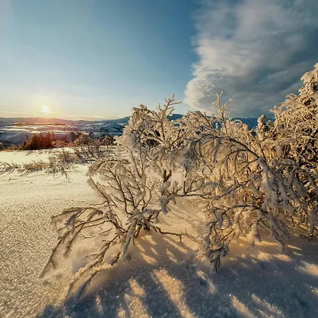 With Jacuzzi Sandvika (Trondelag)