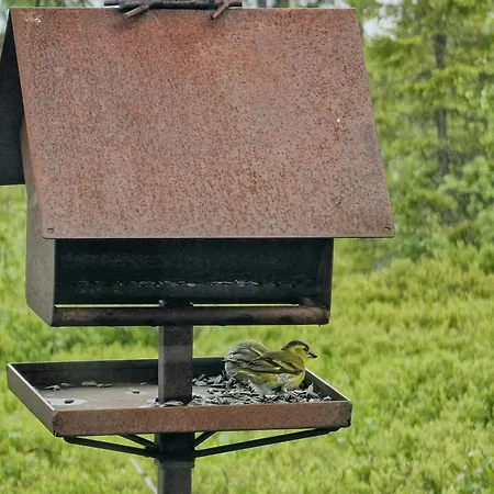 With Jacuzzi Sandvika (Trondelag)