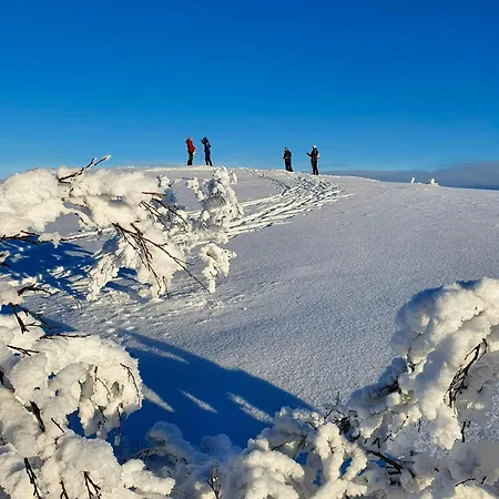 With Jacuzzi Sandvika (Trondelag)